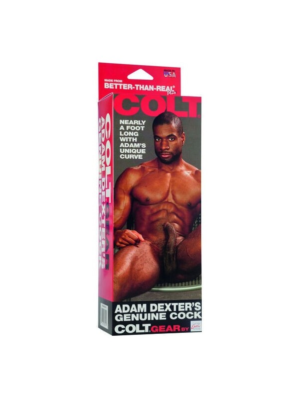 CALIFORNIA EXOTICS - COLT PENE REALISTICO ADAM DEXTER