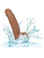 CALIFORNIA EXOTICS - SILICONE STUDS 15.24 CM BROWN