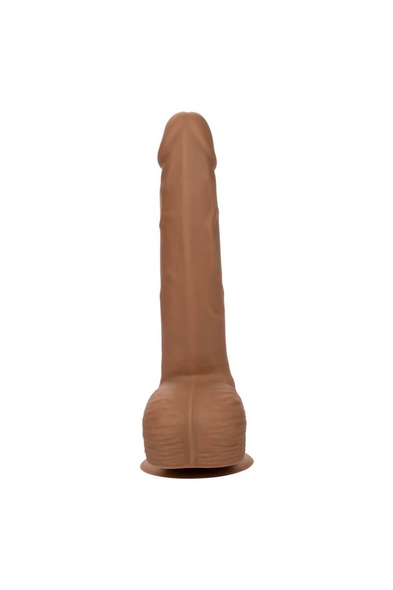 CALIFORNIA EXOTICS - SILICONE STUDS 20.32 CM BROWN