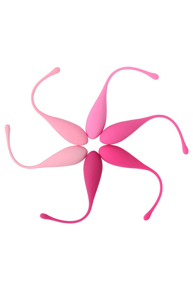 LESLIE - KEGEL FIT ENTREGADOR SUELO PELVICO 6 PESOS