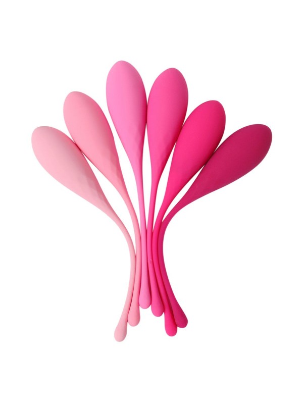 LESLIE - KEGEL FIT ENTREGADOR SUELO PELVICO 6 PESOS