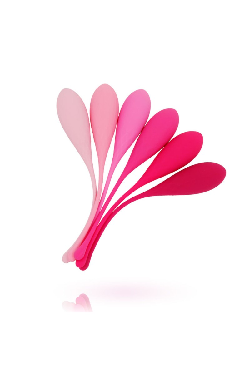 LESLIE - KEGEL FIT ENTREGADOR SUELO PELVICO 6 PESOS