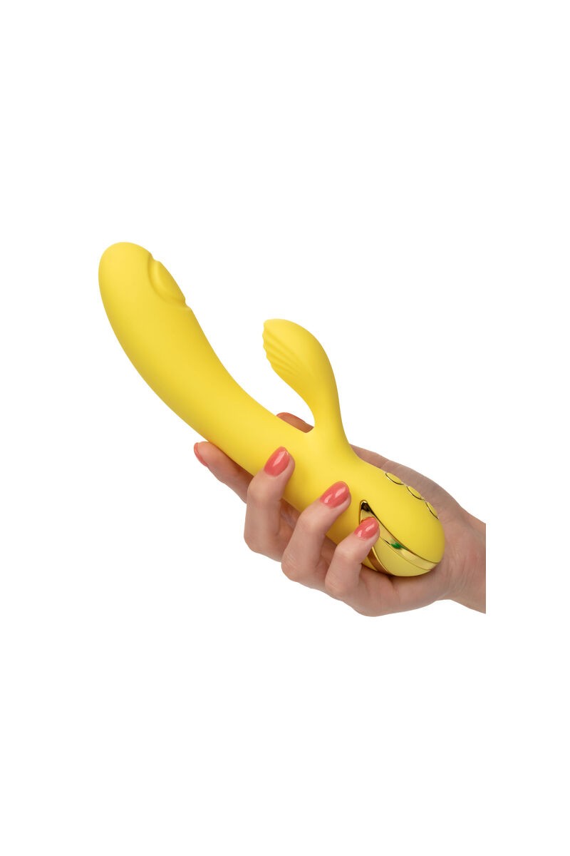 CALIFORNIA EXOTICS - SAN DIEGO SEDUCTION