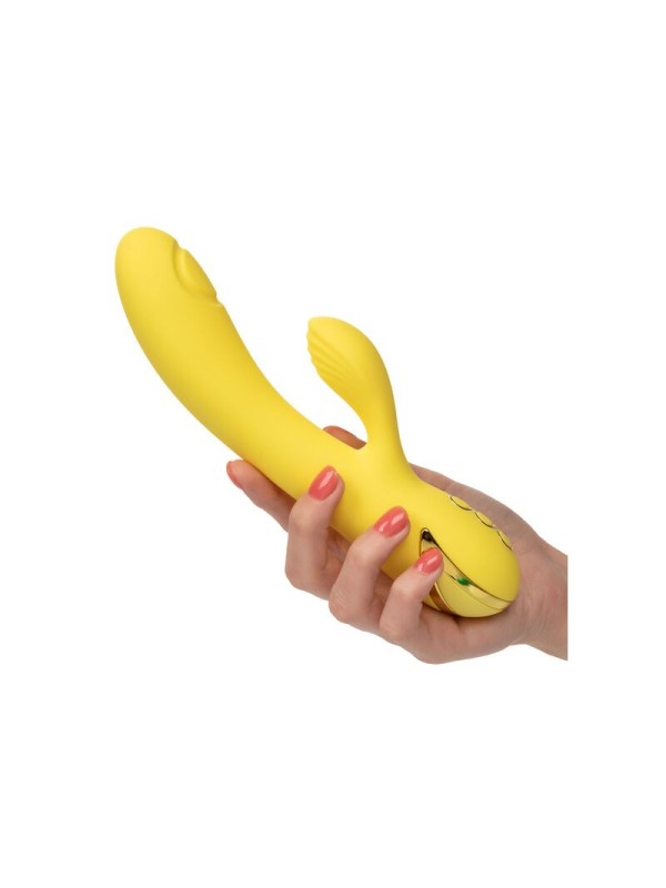 CALIFORNIA EXOTICS - SAN DIEGO SEDUCTION