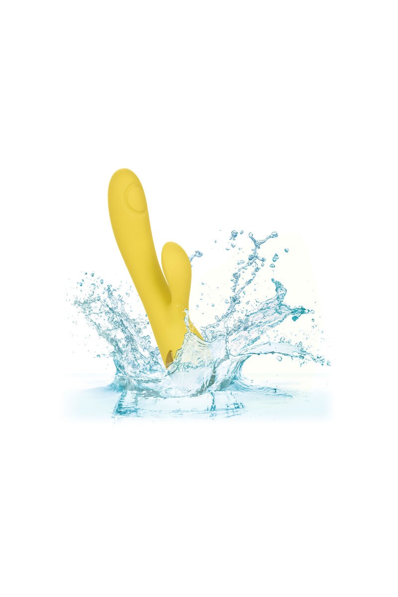 CALIFORNIA EXOTICS - SAN DIEGO SEDUCTION