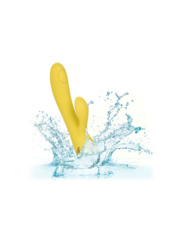 CALIFORNIA EXOTICS - SAN DIEGO SEDUCTION