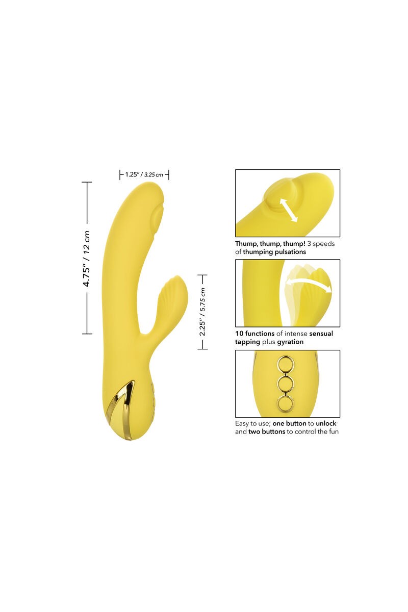 CALIFORNIA EXOTICS - SAN DIEGO SEDUCTION