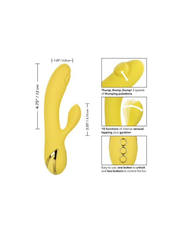 CALIFORNIA EXOTICS - SAN DIEGO SEDUCTION