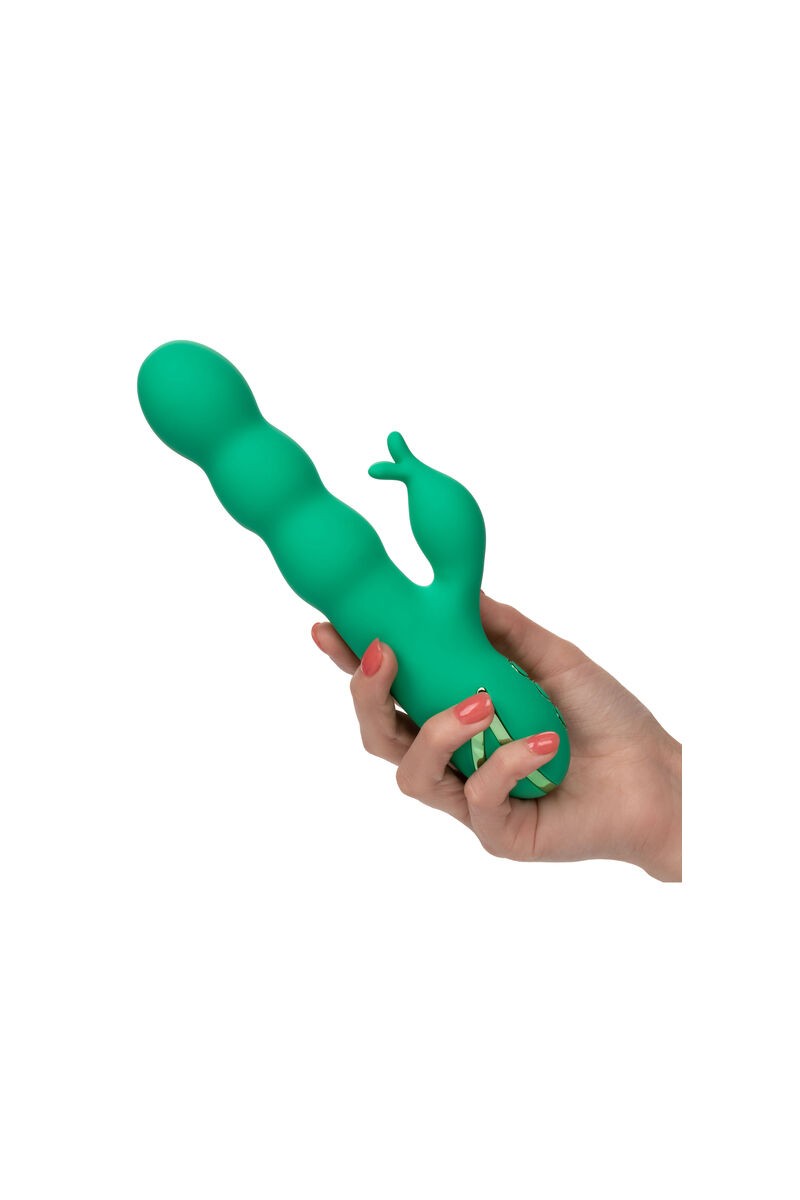 CALIFORNIA EXOTICS - SONOMA SATISFIER GREEN