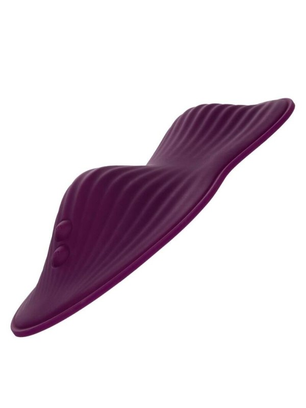 CALIFORNIA EXOTICS - REMOTE CONTROL DUAL RIDER