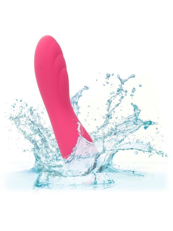 CALIFORNIA EXOTICS - PIXIES RIPPLE ROSA