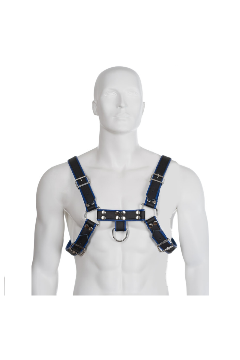 LEATHER BODY - ARNES CUERO AZUL Y NEGRO CHEST BULLDOG
