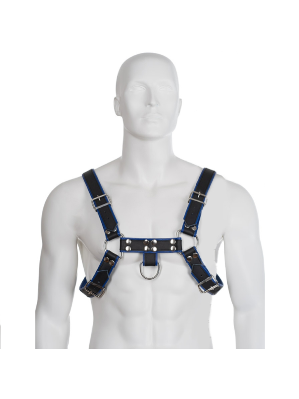 LEATHER BODY - ARNES CUERO AZUL Y NEGRO CHEST BULLDOG
