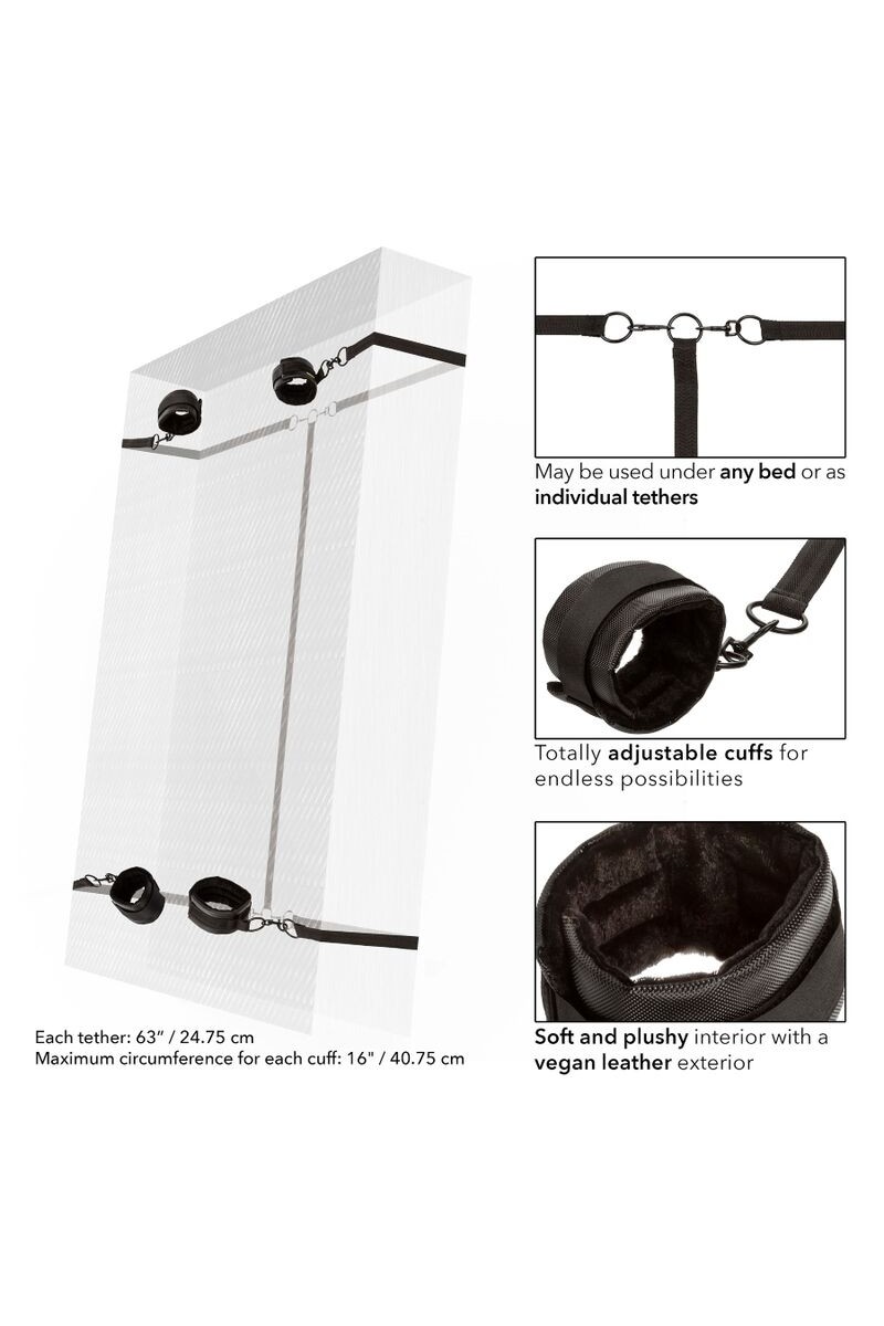 CALIFORNIA EXOTICS - BOUNDLESS CALIFORNIA EXOTICS - BOUNDLESS