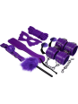 EXPERIENCE - BDSM FETISH KIT SERIE PURPLE
