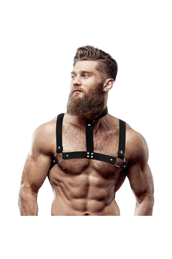 ARNÉS AJUSTABLE ECOPIEL PECHO CON COLLAR HOMBRE