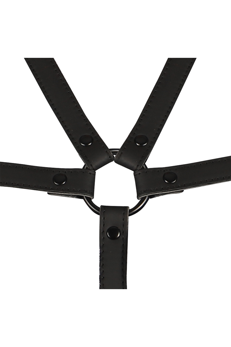 FETISH SUBMISSIVE BONDAGE - ARNÉS AJUSTABLE TORSO Y BRAZOS