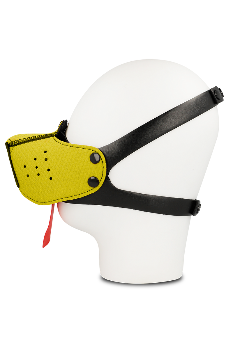 OHMAMA FETISH - BOZAL PERRO AMARILLO