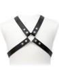 LEATHER BODY - LASIC HARNESS IN GARMENT