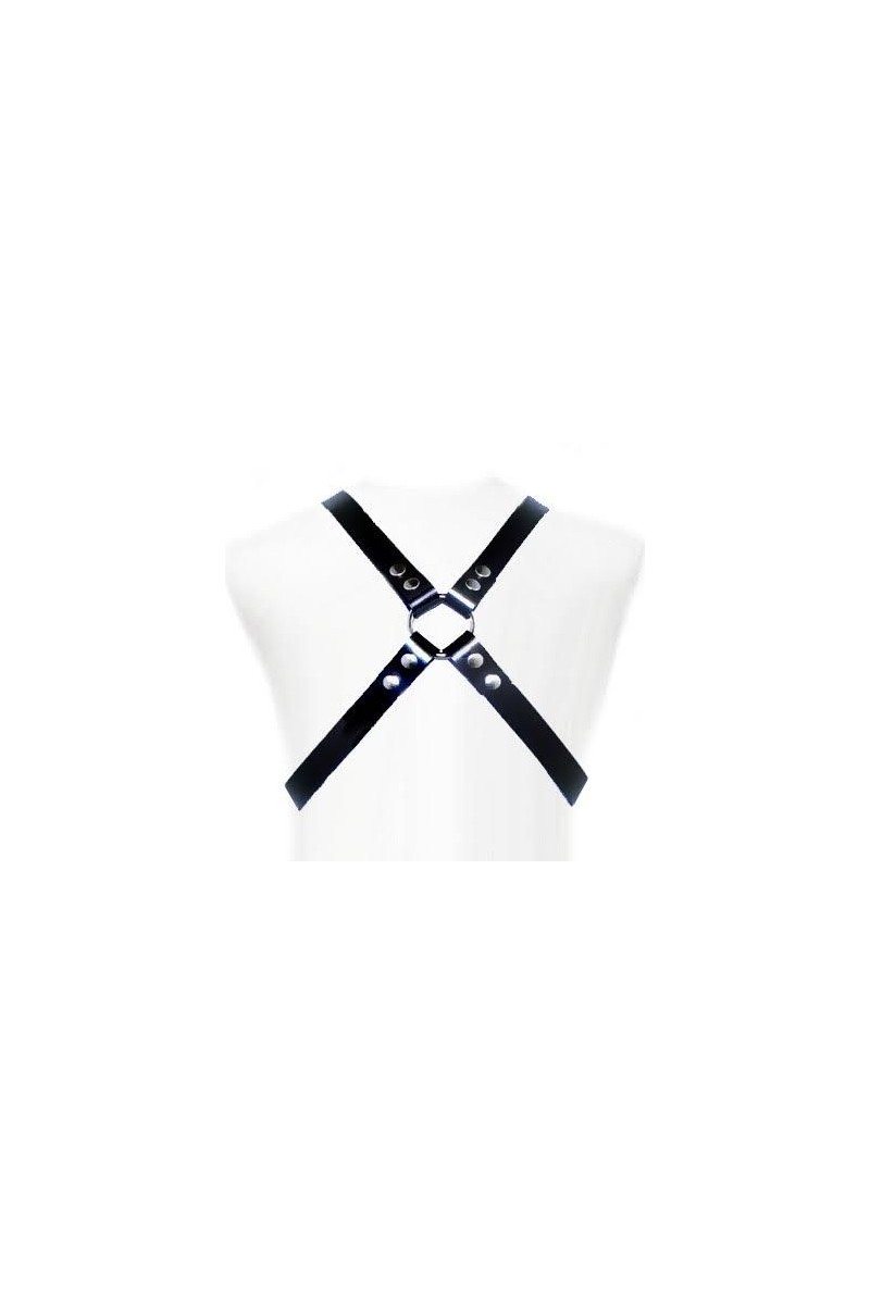 LEATHER BODY - BASIC HARNESS