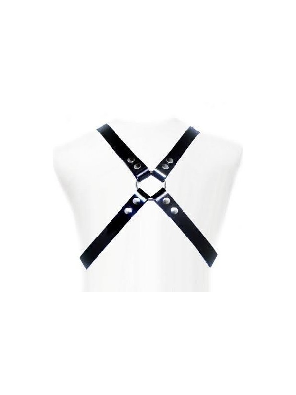 LEATHER BODY - BASIC HARNESS