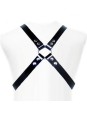 LEATHER BODY - BASIC HARNESS