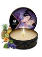 SHUNGA - SECRET GEISHA FRUTAS EXOTICAS