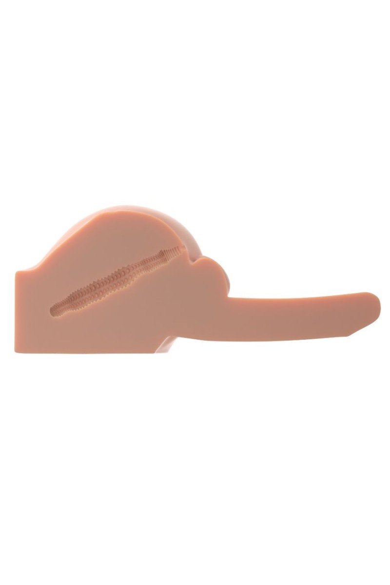 PDX MALE - INTERACTIVE BAD BOY MASTURBADOR