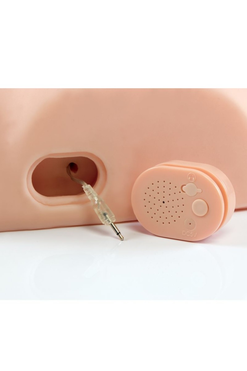 PDX MALE - INTERACTIVE FUCK HIM SILLY MASTURBATOR INTERACTIVO