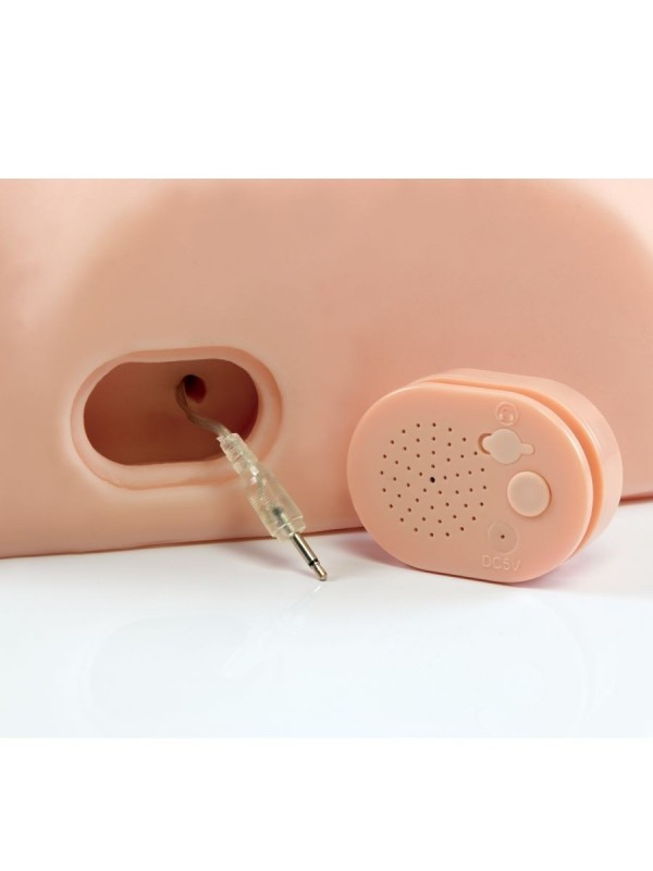 PDX MALE - INTERACTIVE FUCK HIM SILLY MASTURBATOR INTERACTIVO