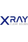 X RAY